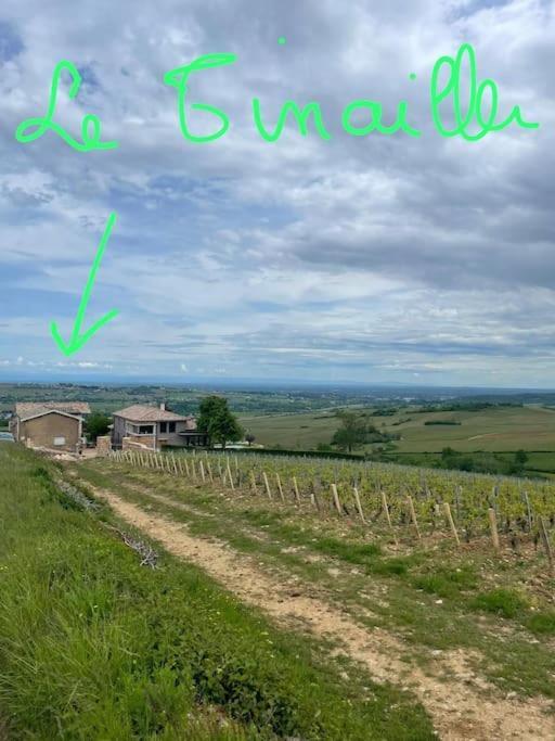 Вилла Le Tinailler Grand Standing Au Coeur Des Vignes Prisse Экстерьер фото