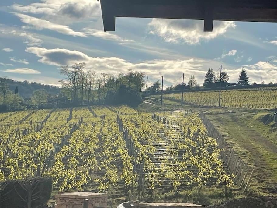 Вилла Le Tinailler Grand Standing Au Coeur Des Vignes Prisse Экстерьер фото